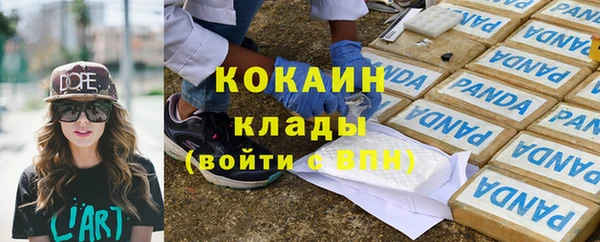 тгк Новодвинск
