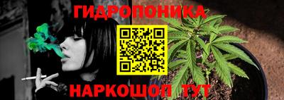 молекула духа Пенза