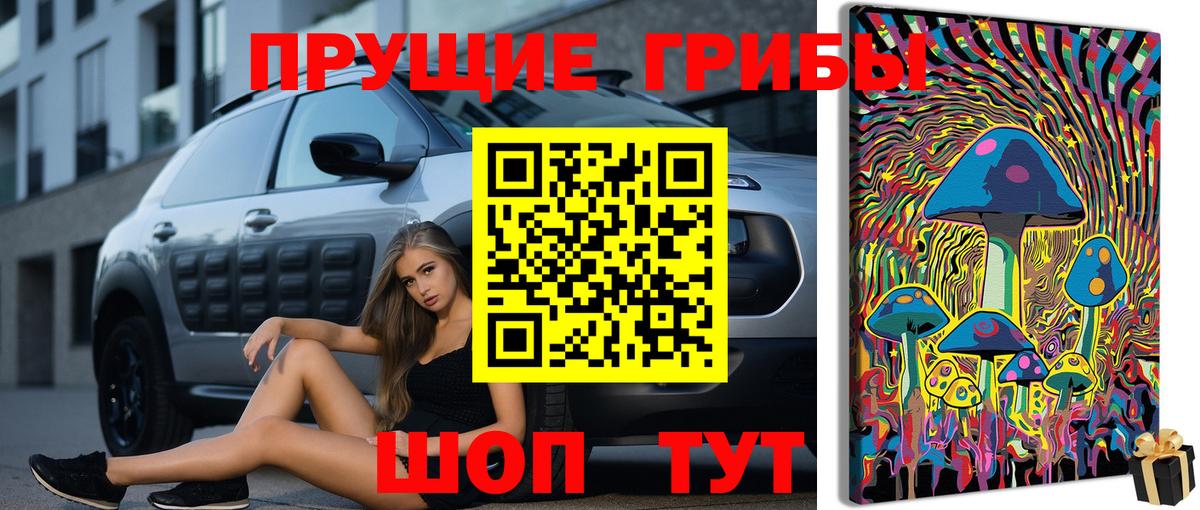 Ульяновск  Псилоцибиновые грибы MAGIC MUSHROOMS  Вход с VPN 
